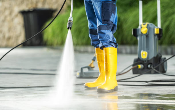 Best Seasonal Cleaning Services in Cayce, SC